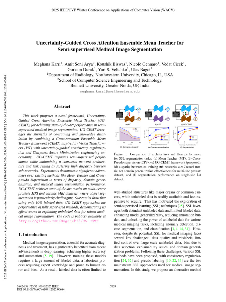 Uncertainty-Guided Ensemble for Medical Segmentation | PDF | Image ...