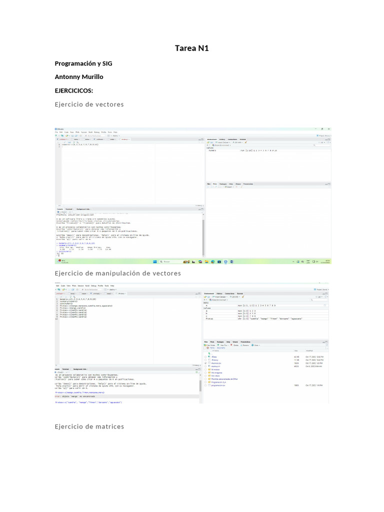 Tarea N1 Programacion y SIG - Antonny Murillo | PDF