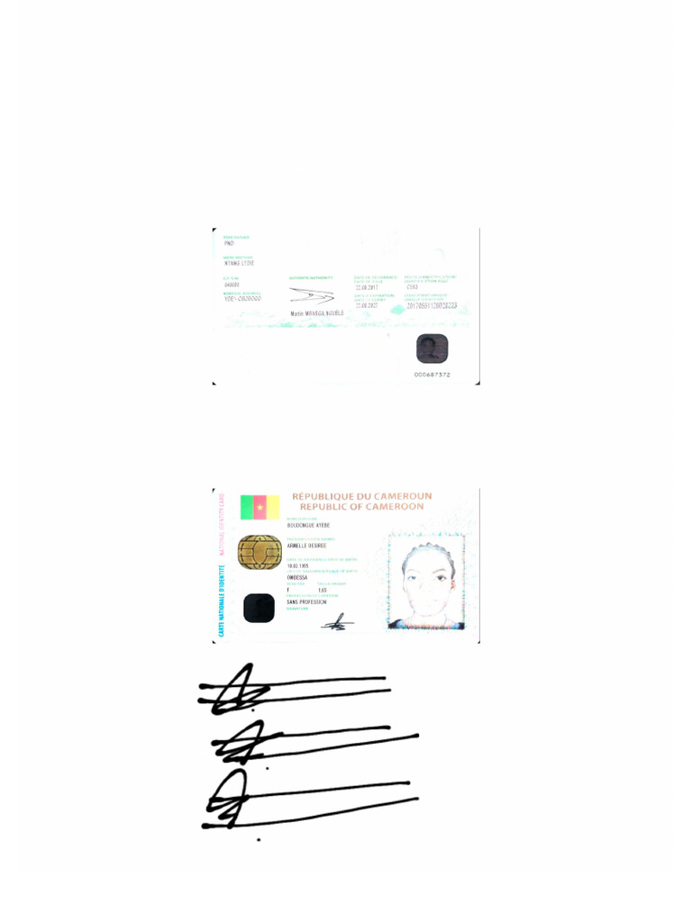 ACE Scanner - 2025 - 06 - 23 | PDF