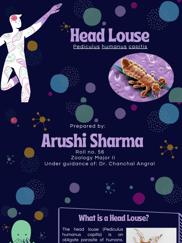 Understanding Head Lice: Facts & Control | PDF