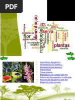 Apresentacao_plantas1