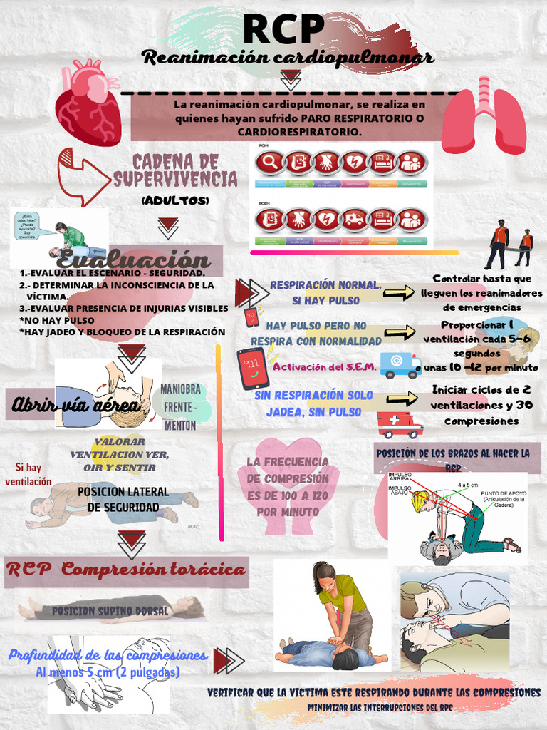 RCP Material | PDF | Reanimación cardiopulmonar | Medicina CLINICA