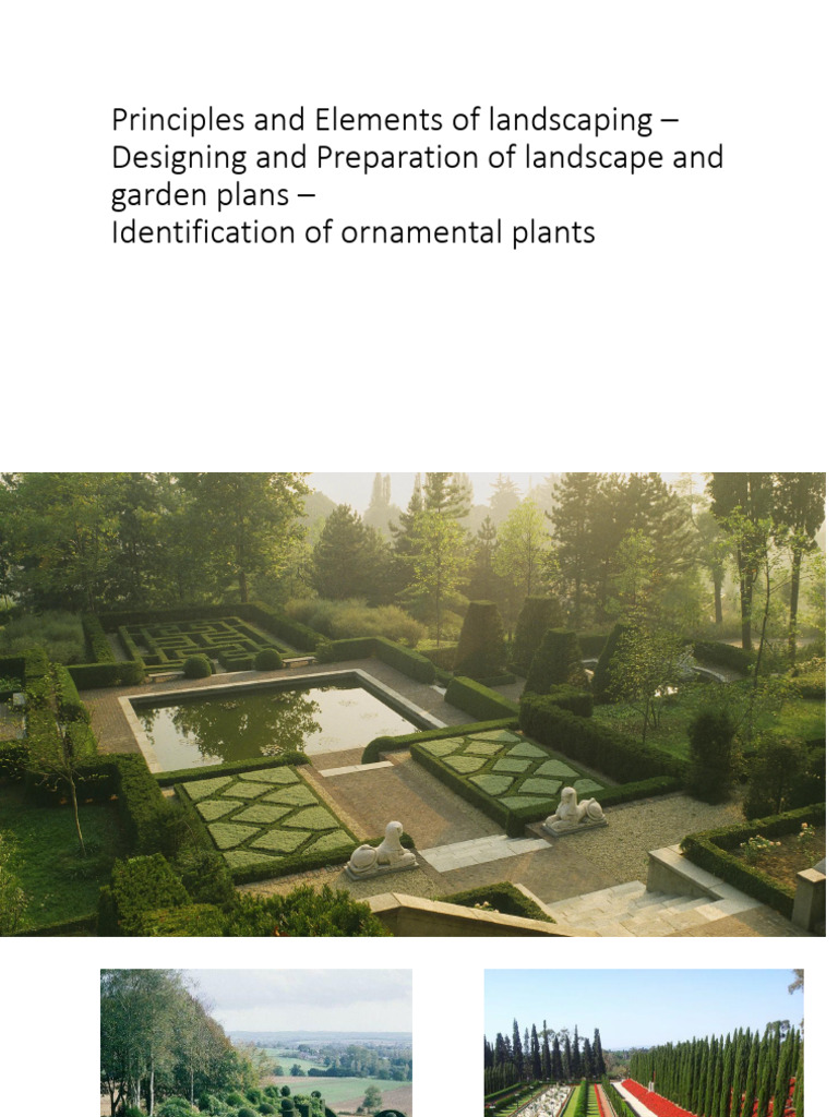 Landscaping Principles and Elements Guide | PDF | Ficus | Fern