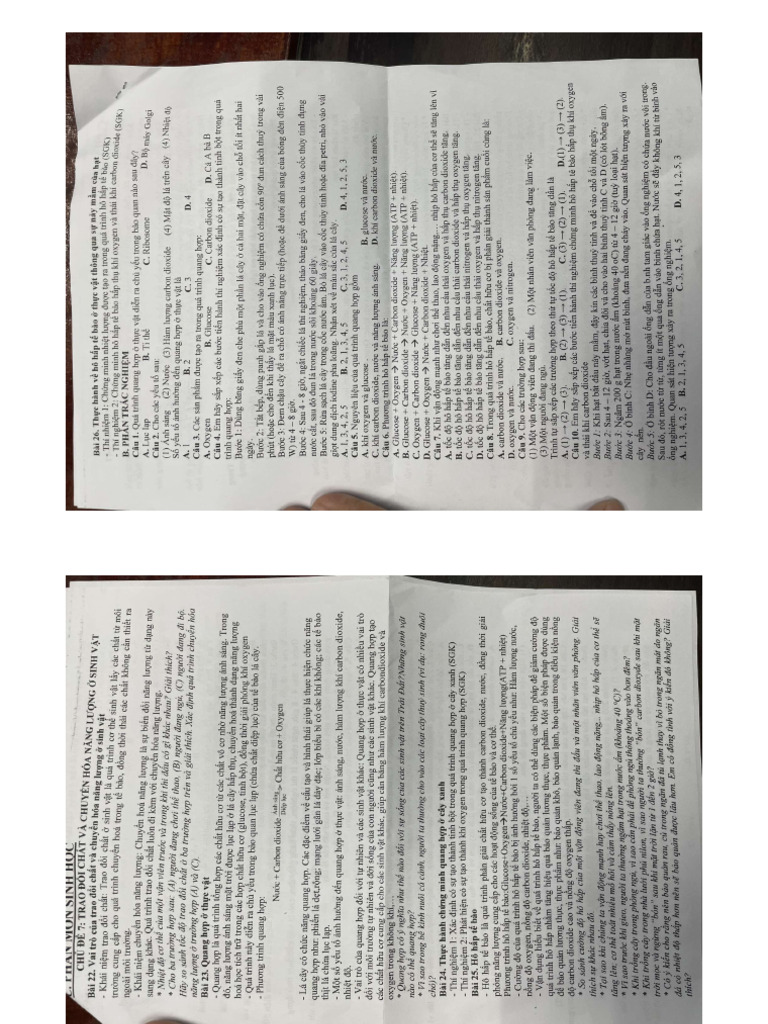 TCV 7 | PDF