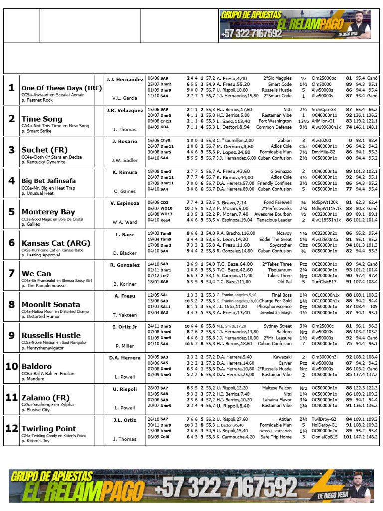 d Mr 20251101 | PDF | Equestrian Sports | Horses