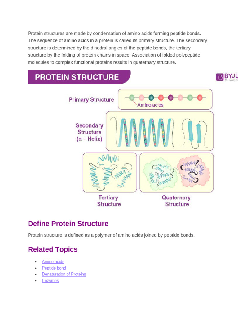 Understanding Protein Structure Levels | PDF | Protein Structure | Proteins
