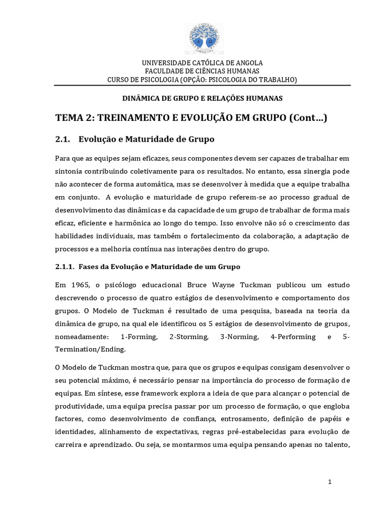Evolução e Maturidade de Grupos em Psicologia | PDF | Comentários ...