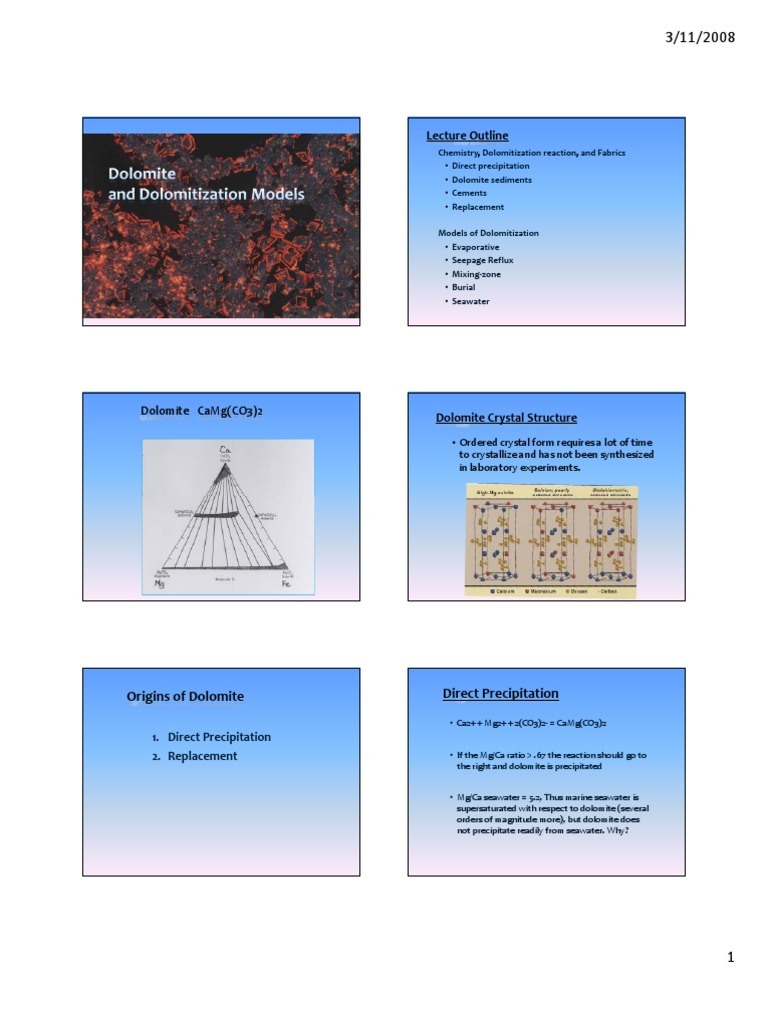 Dolomitization Models and Processes | PDF | Calcite | Calcium