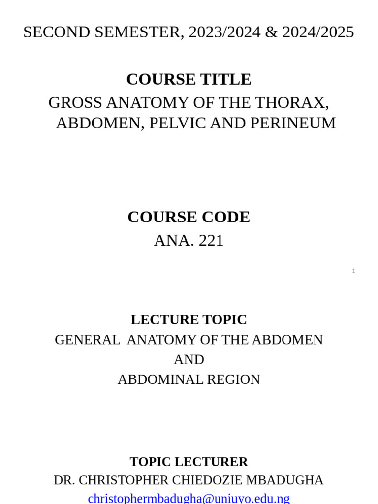Anatomy of the Abdomen Explained | PDF | Peritoneum | Abdomen