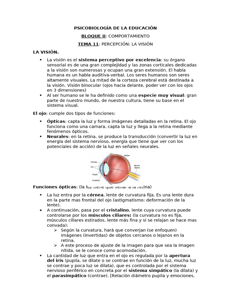 Psicobiología de la Visión Humana | PDF | Percepción visual | Ojo