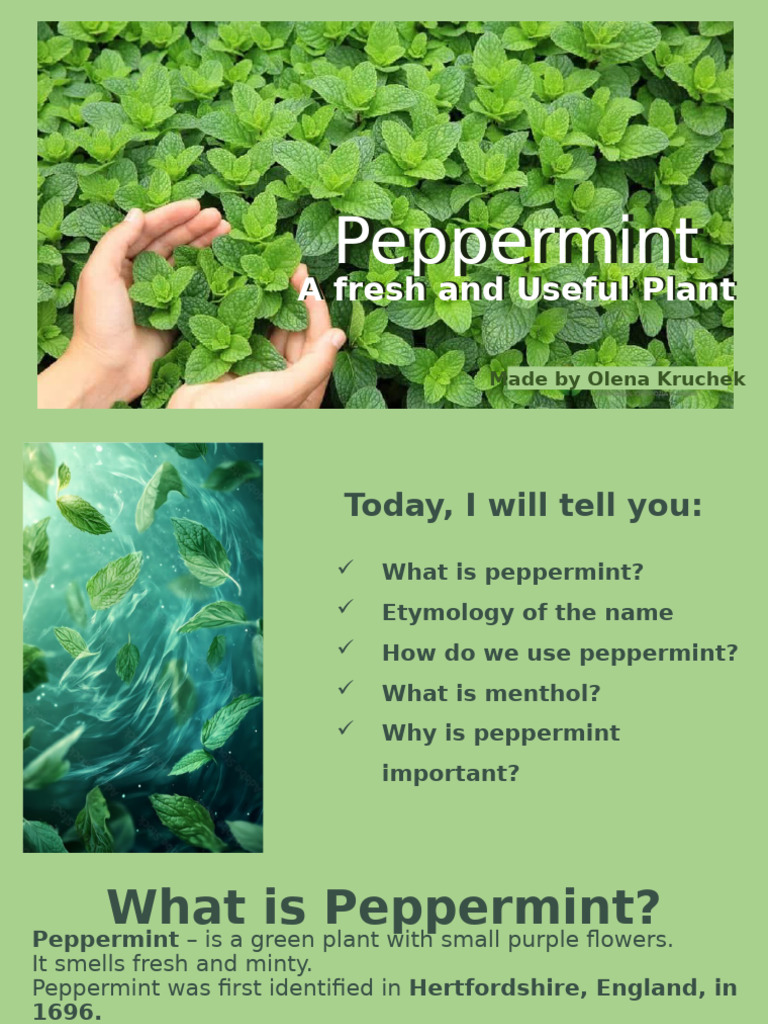 Peppermint | PDF