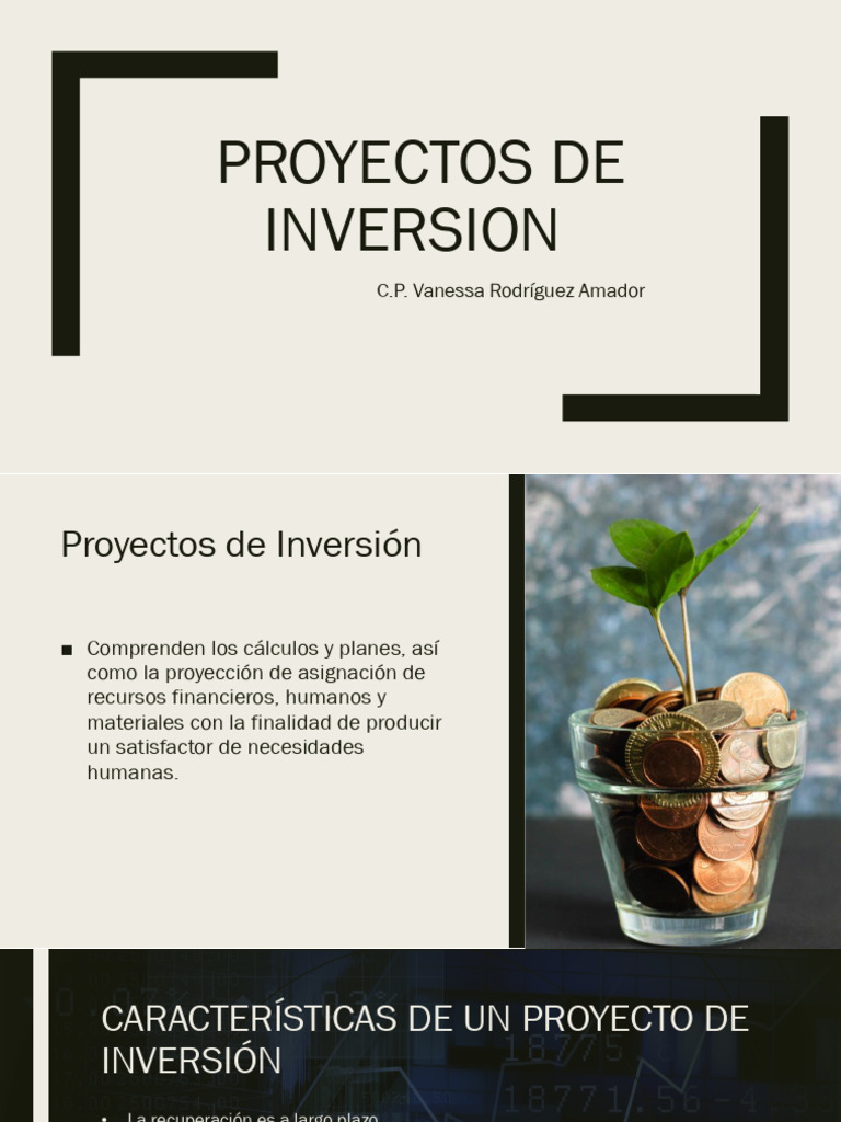 Guía Completa sobre Proyectos de Inversión | PDF | Inversiones | Business