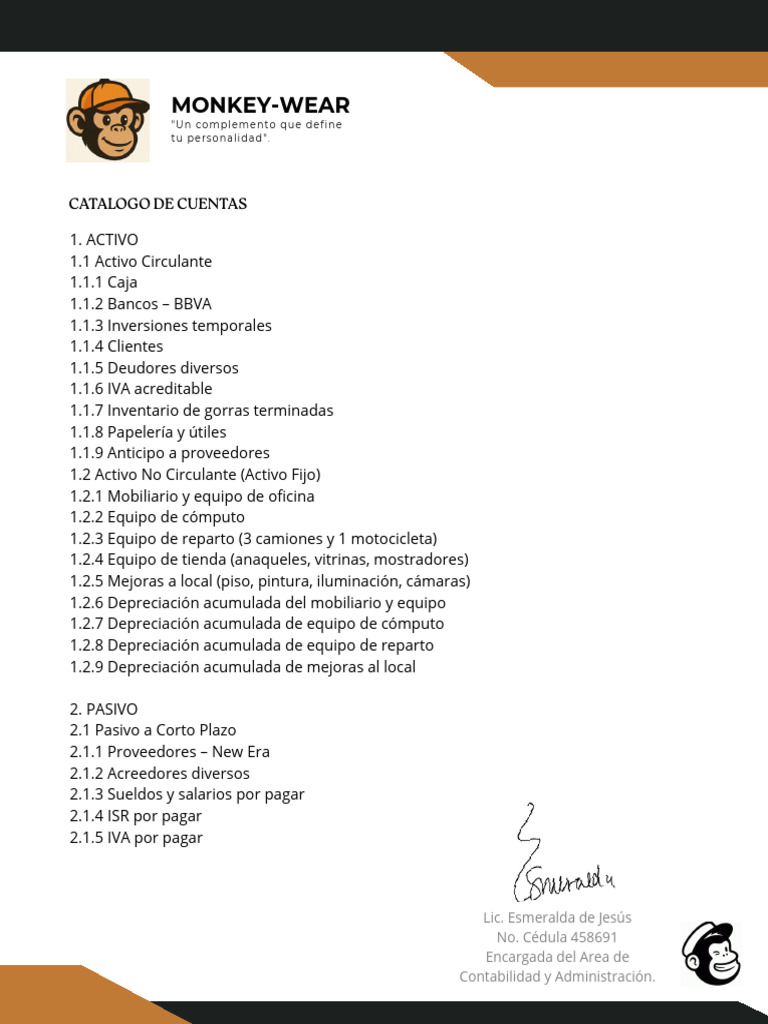 Catalogo de Cuentas | PDF | Contabilidad | Hoja de balance