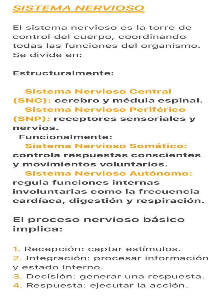 Estructura y Función del Sistema Nervioso | PDF | Sinapsis | Sistema ...