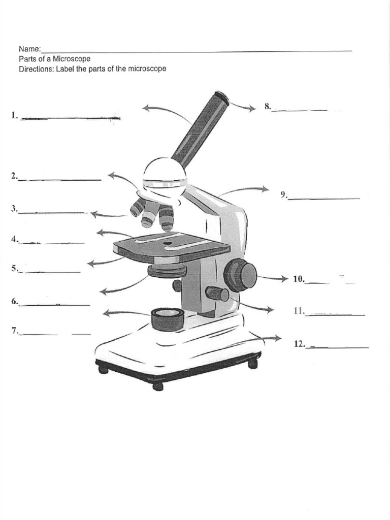 Labeling The Microscope | PDF