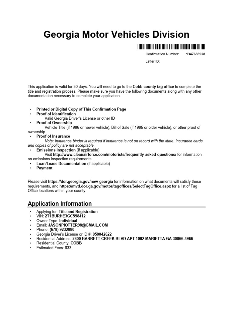 Georgia Title and Registration Process | PDF