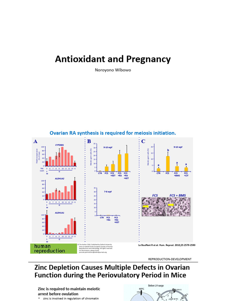 Antioxidants' Role in Pregnancy Health | PDF | Antioxidant | Dna Repair
