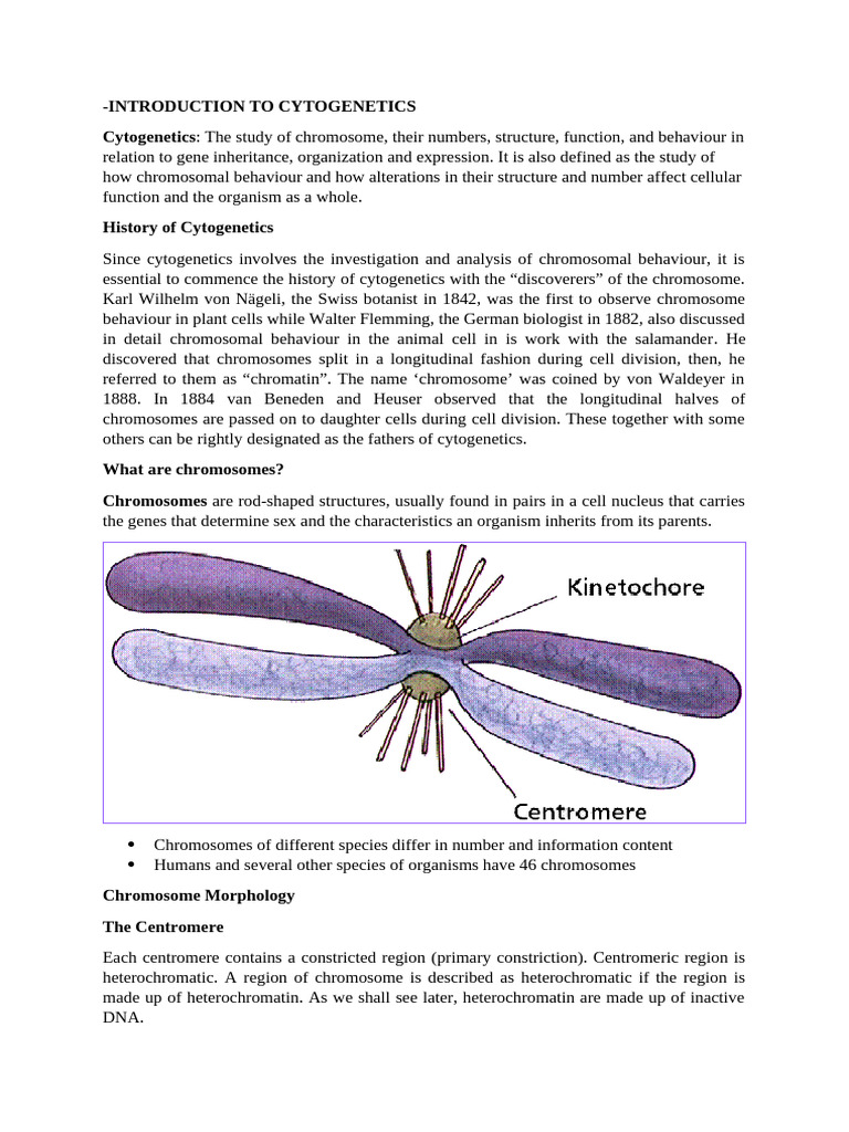 Overview of Cytogenetics Concepts | PDF | Biochemistry | Chemistry