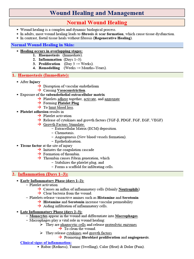 Wound Healing Processes and Management | PDF | Wound Healing | Wound