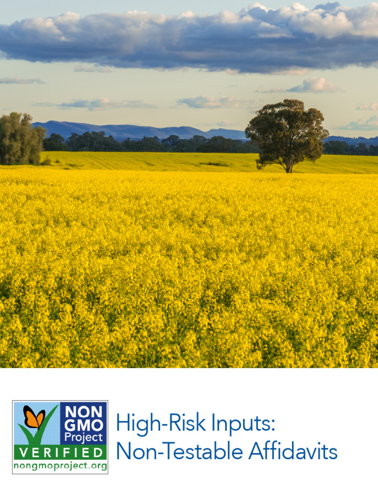 Non-Testable Affidavits for High-Risk Inputs | PDF | Crispr ...