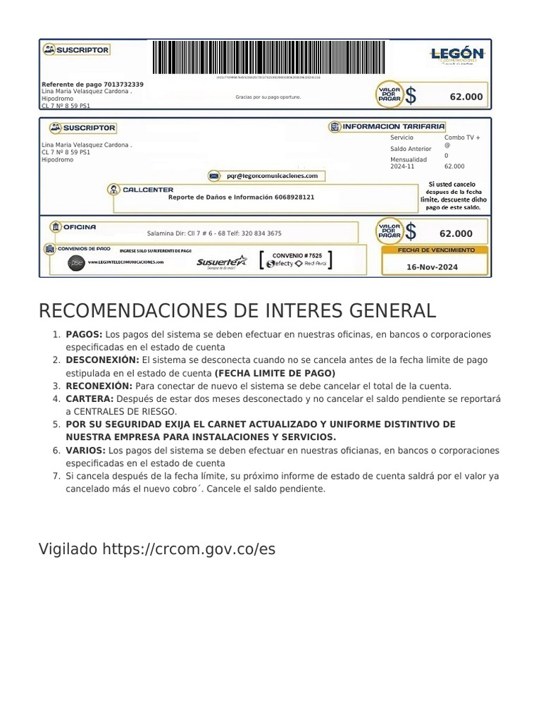 Instrucciones de Pago y Recomendaciones | PDF