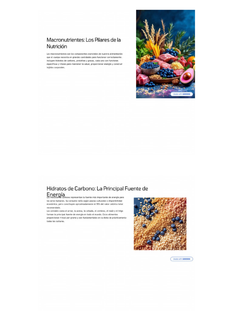 Macro Nutrient Es Pdf