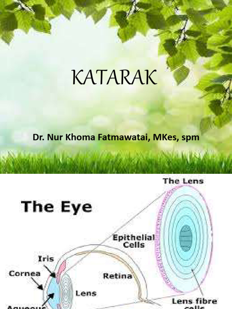 Sten va Fransina pornosini tomosha qiling