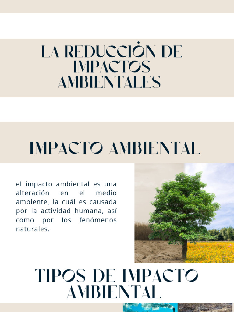 Tipos y Clasificación del Impacto Ambiental | PDF | Entorno natural ...