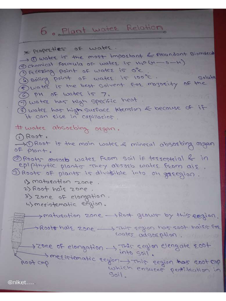 Plant Water Relation | PDF