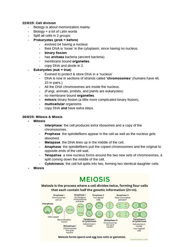 Bio notes | PDF | Mitosis | Cell (Biology)