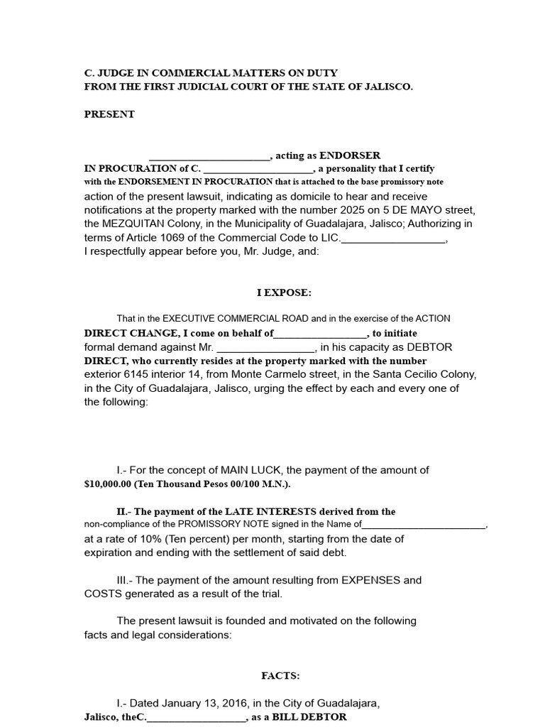 Commercial Demand Promissory Note | PDF | Lawsuit | Debt