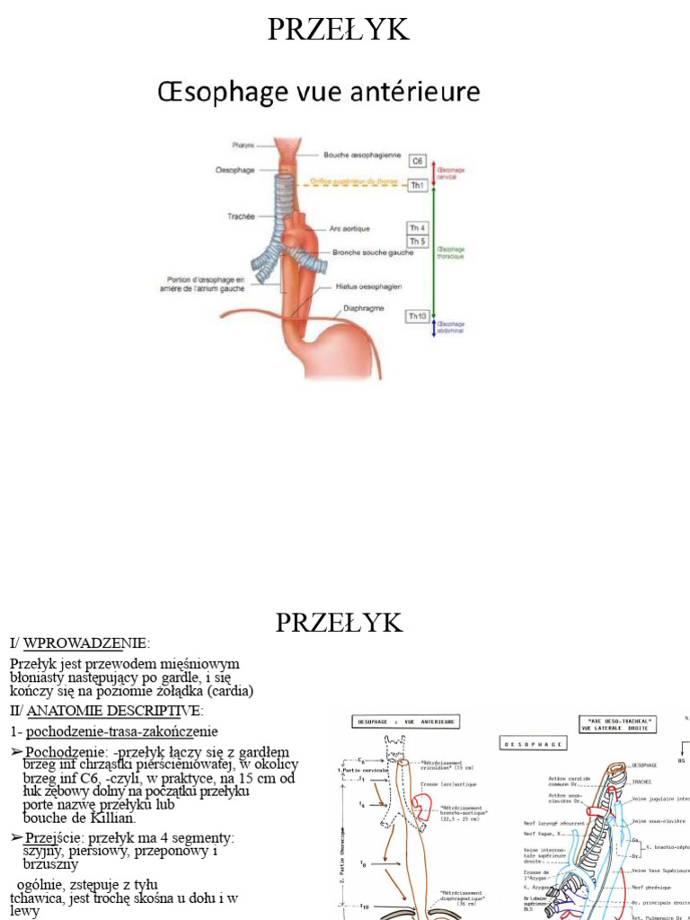 PRZEŁYK | PDF