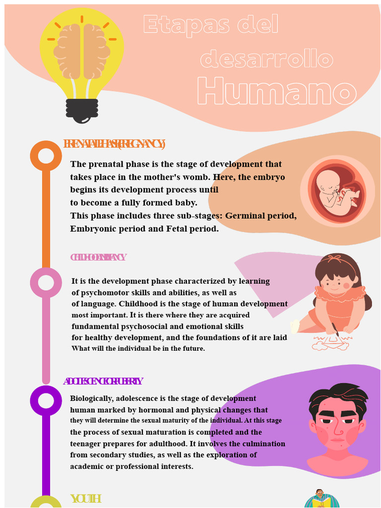 Stages of Human Development | PDF