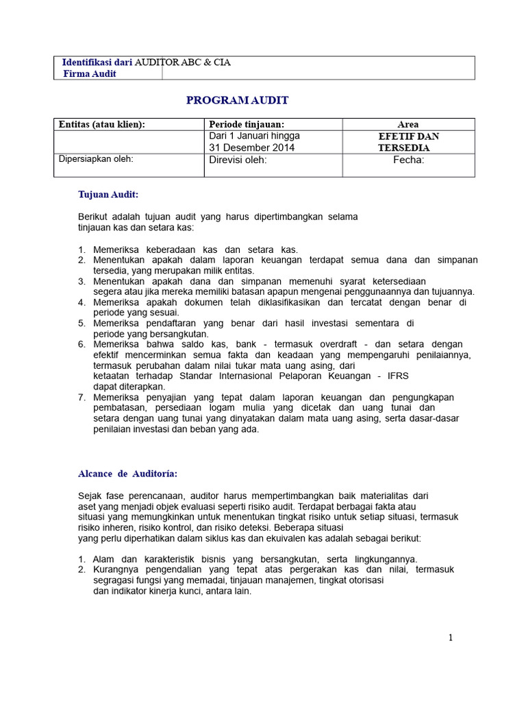 B Auditool - Program Audit Efektif Dan Setara | PDF