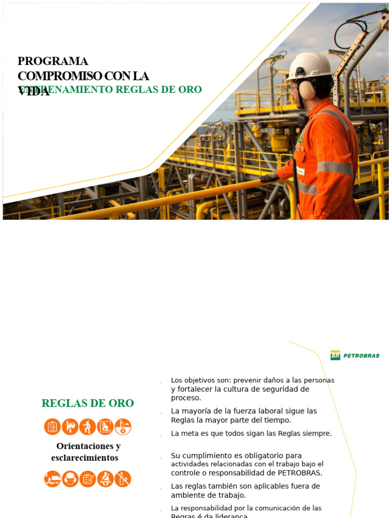 Reglas de Oro para Seguridad Laboral | PDF | Combustión