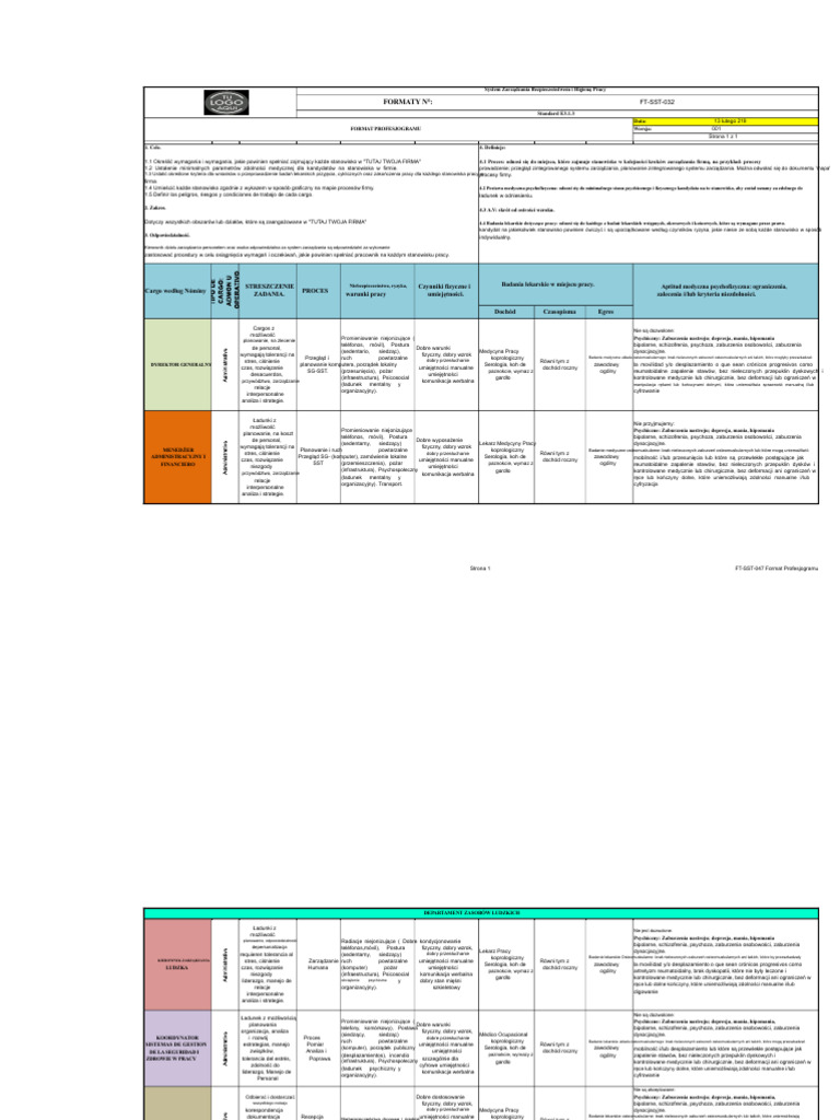 FT SST 032 Format Profesjogramu | PDF