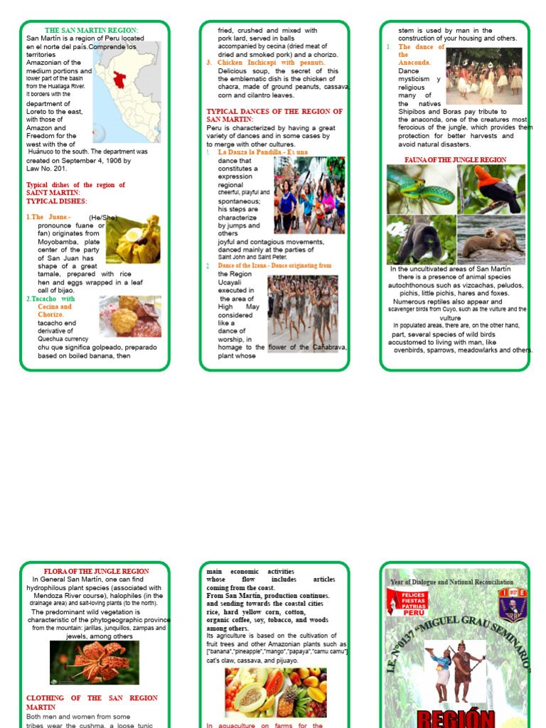 San Martín Region: Culture and Cuisine | PDF | Agriculture | Foods