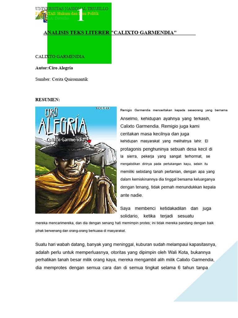Ketidakadilan dan Protes Calixto Garmendia | PDF