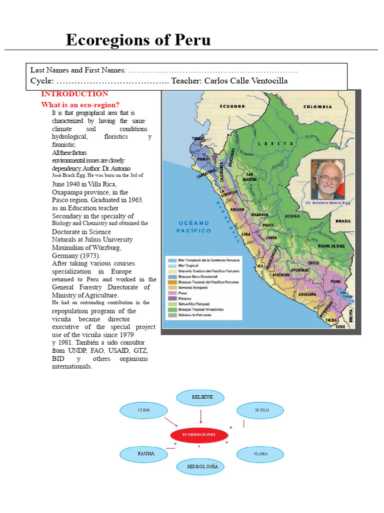 Ecoregions of Peru: Climate and Biodiversity | PDF | Andes | Habitat ...