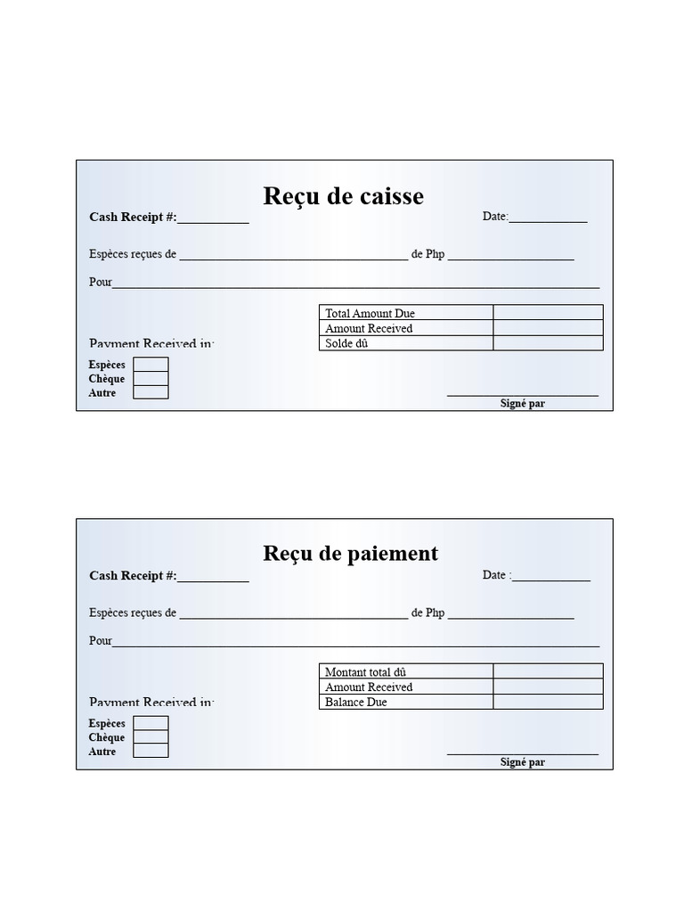Modèle de reçu de caisse standard | PDF