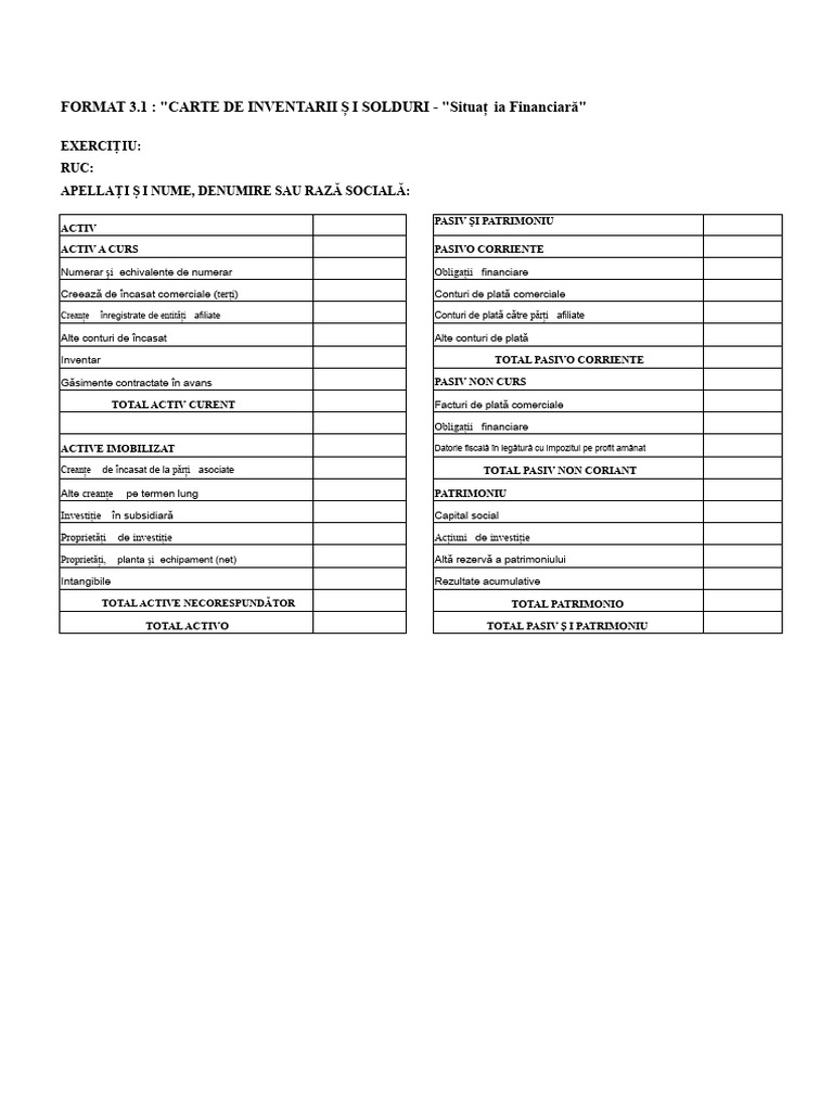 Format 3.1 Carte de Inventare Și Bilanțuri | PDF