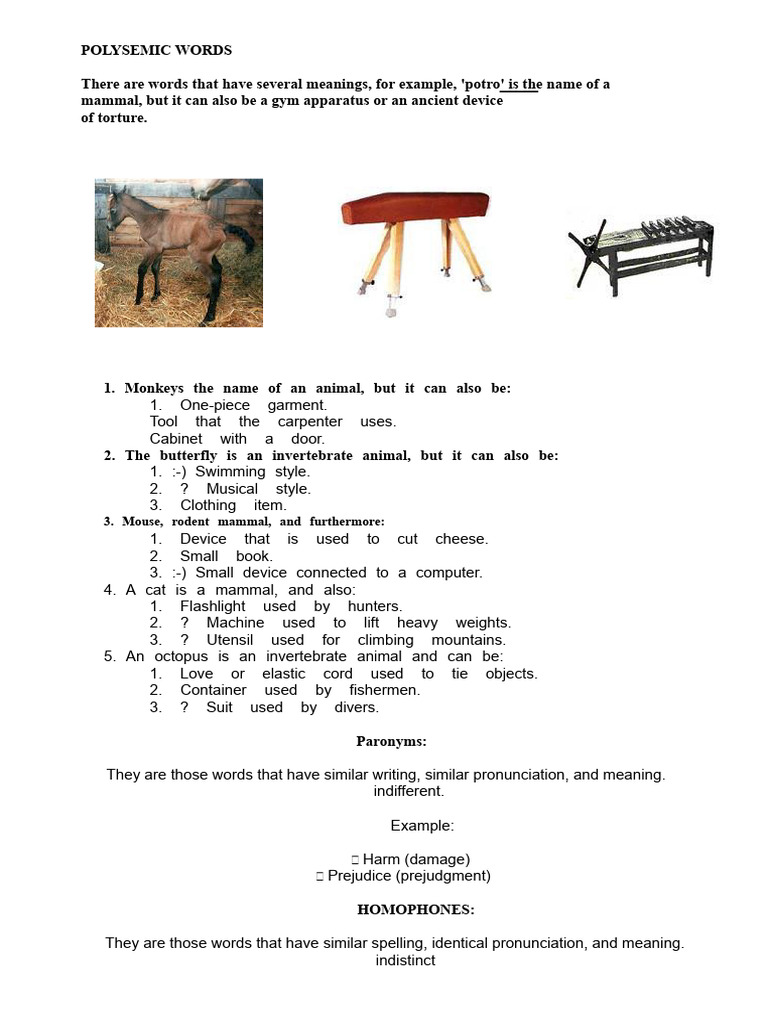 Understanding Polysemic Words | PDF