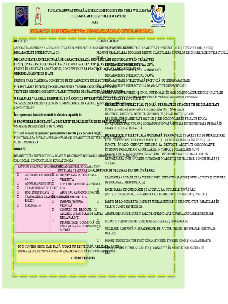 Buletin Informativ - Dizabilitate Intelectuală (Final) | PDF