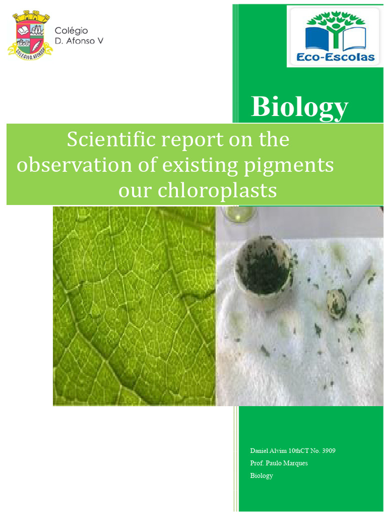 Scientific Report On The Observation of Pigments Present in ...