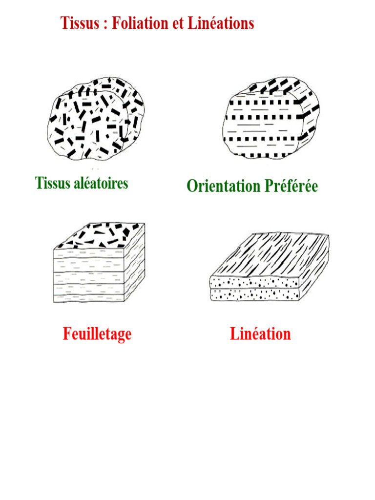 Foliation et Clivage des Tissus Rocheux | PDF | Minéral | Minéralogie