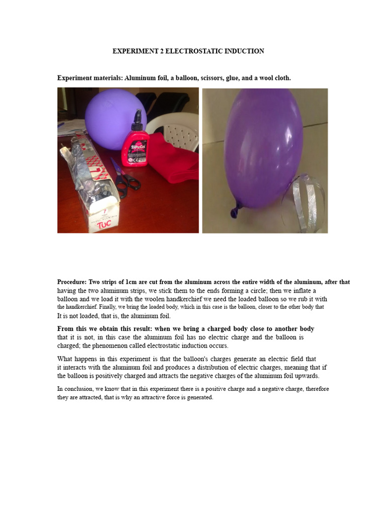 Electrostatic Induction Experiment Guide | PDF