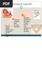 Mechanism of Labor in OP Position | PDF | Pelvis | Childbirth