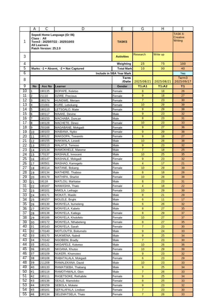 Learner Performance Report Term 3 | PDF