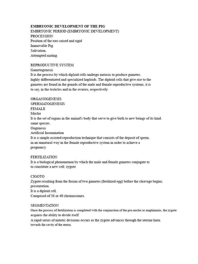 Pig Embryonic Development Overview | PDF | Embryo | Fertilisation
