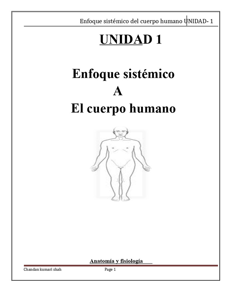 Anatomía y Fisiología del Cuerpo Humano | PDF | Términos anatómicos de ...